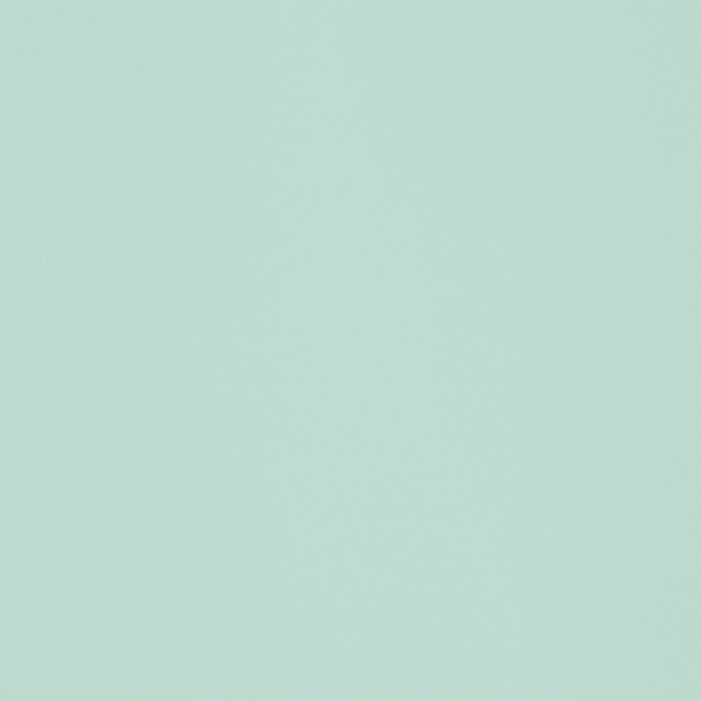 Fadeless Mint to Be - Mint colored bulletin board paper