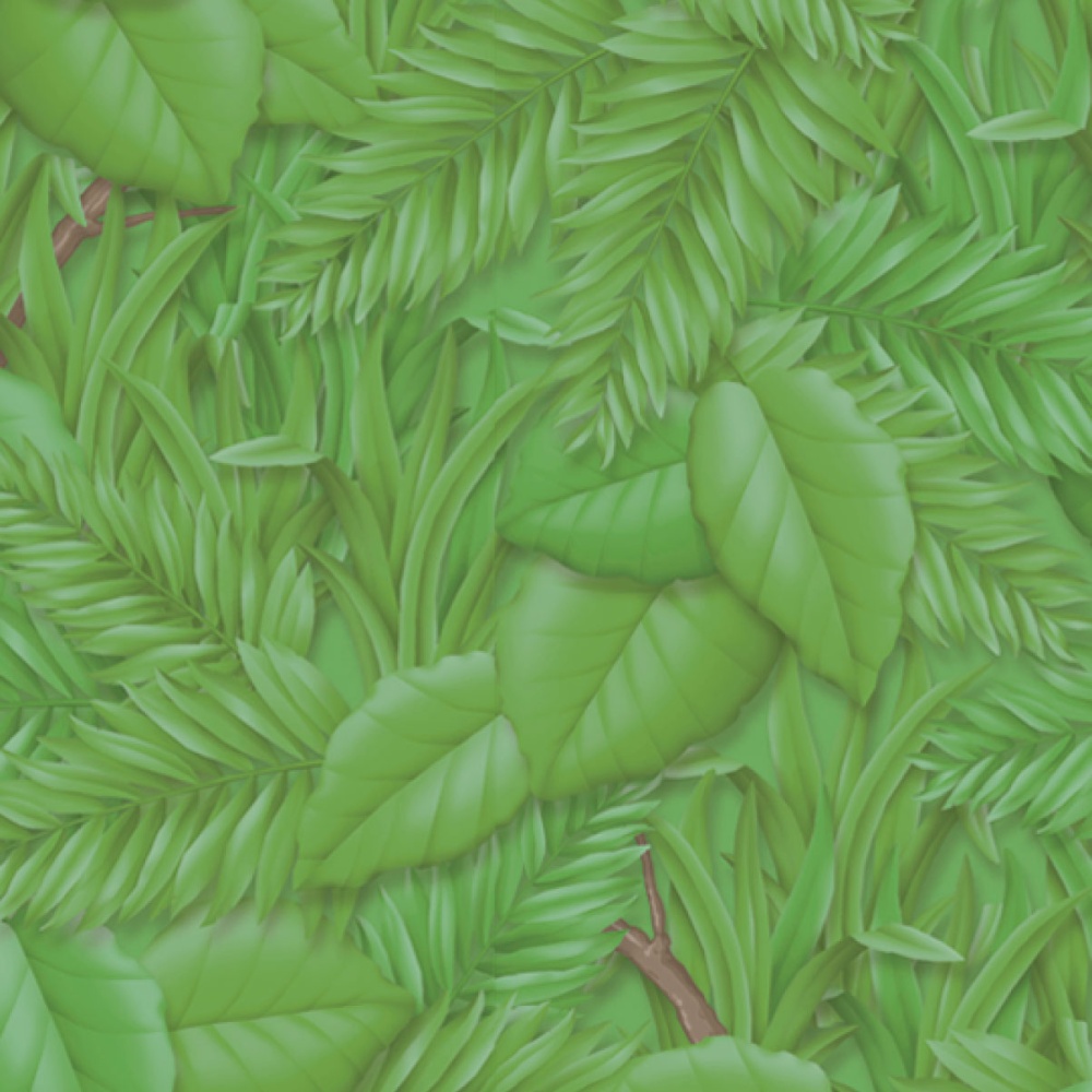 Fadeless green tropical leaf pattered bulletin board paper