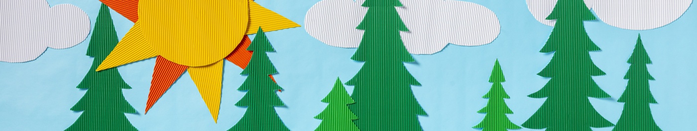 Fadeless Corrugated Board paper